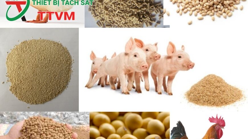 Ngành Sản xuất Thức ăn chăn nuôi: THÁCH THỨC và GIẢI PHÁP