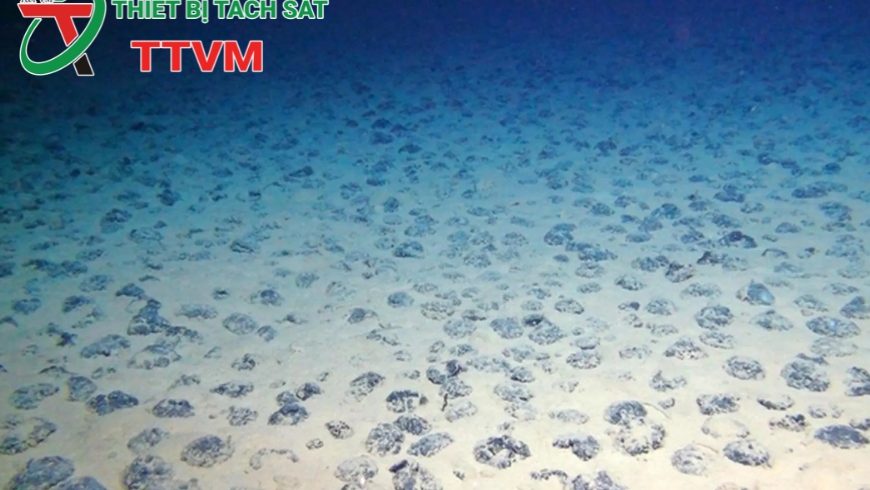 “Kho báu” khoáng sản dưới đáy biển ở hai tỉnh phía Bắc