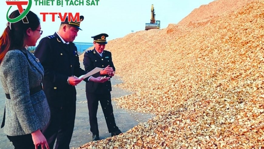 Xuất khẩu lâm sản Việt: ĐIỂM SÁNG trong Thương Mại Quốc Tế