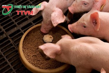 Dự báo tăng trưởng mạnh mẽ của thị trường thức ăn chăn nuôi toàn cầu năm 2025