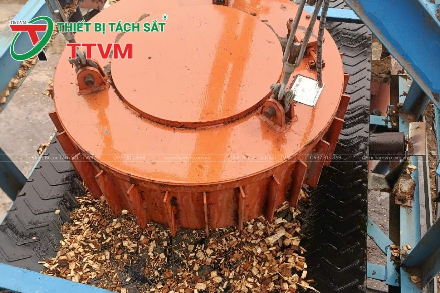 nam châm điện ngành gỗ