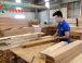 Việt Nam bứt phá trong xuất khẩu gỗ và sản phẩm gỗ: Kỳ vọng cán mốc 18 tỷ USD năm 2025