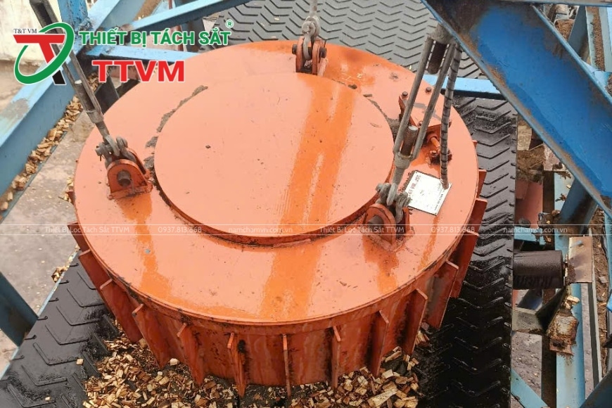 nam châm điện ngành gỗ