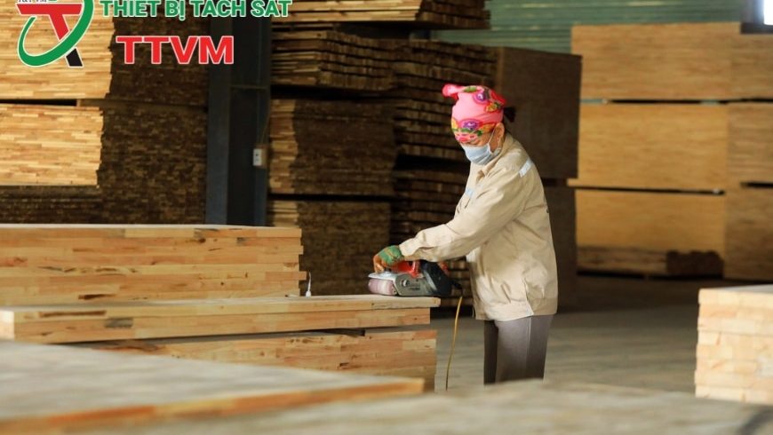 Chiến lược thị trường ngành gỗ Việt Nam: Đa dạng hóa để tăng sức bật xuất khẩu