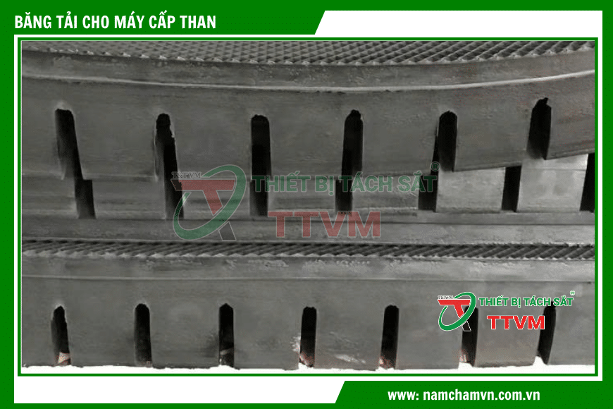 Mặt cắt cận cảnh cho thấy cấu tạo các răng cưa/khớp nối bằng cao su, là cơ chế then chốt để truyền động chính xác.