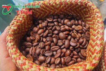 Nông sản xuất khẩu Việt Nam lập kỷ lục mới, mở ra cơ hội tăng trưởng mạnh