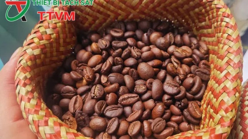 Nông sản xuất khẩu Việt Nam lập kỷ lục mới, mở ra cơ hội tăng trưởng mạnh