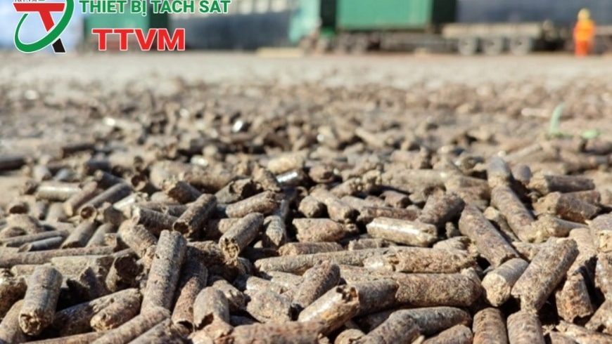 Xuất khẩu viên nén gỗ Việt Nam: Đối mặt thách thức và cơ hội mới