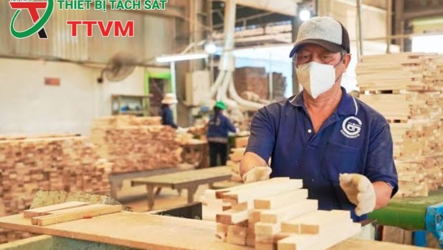 Niềm tin từ gỗ công nghiệp nội địa: Minh bạch để chinh phục thị trường