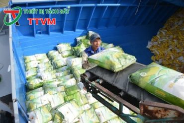 Xuất khẩu nông sản hướng tới mốc 100 tỷ USD nhờ chuyển đổi xanh và số